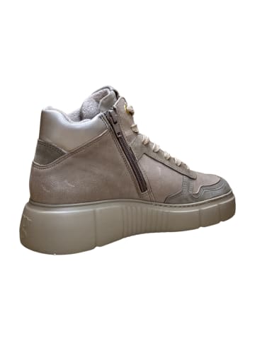 Paul Green Schnürstiefeletten in Beige