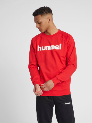 Hummel Sweatshirt Raglanärmel Hmlgo Herren in TRUE RED