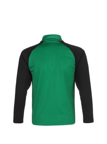 Puma Sweatshirt TeamLIGA 1/4 Zip in grün / schwarz