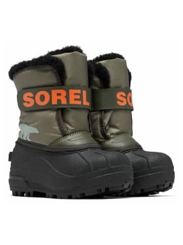 Sorel Winterschuh Snow Commander in Stone Green Alpine Tundra