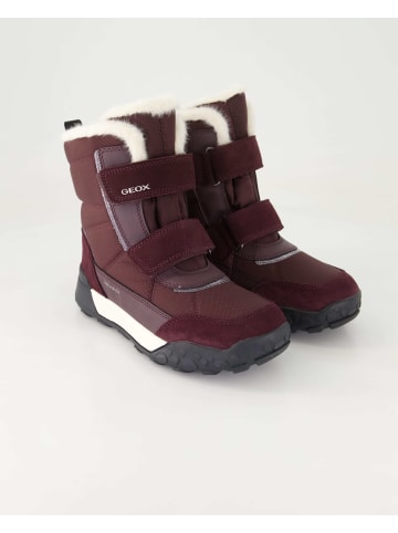 Geox Winterstiefel in Lila