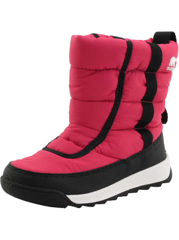 Sorel Winterstiefel in cactus pink  black