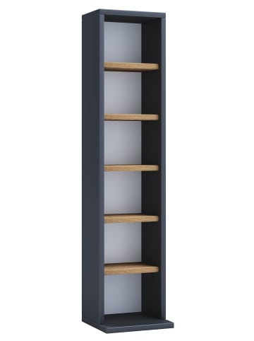 VCM  Holz CD DVD Stand Aufbewahrung Deko Regal Elementa in Anthrazit / Honig-Eiche