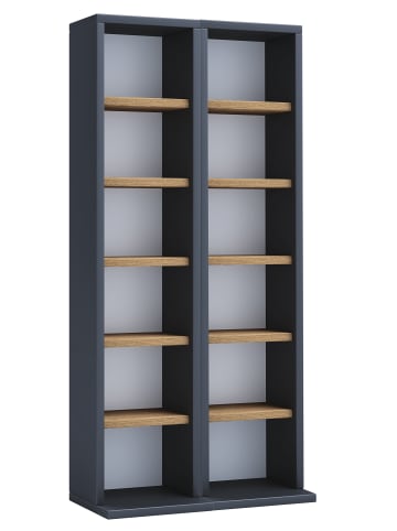 VCM Holz CD DVD Stand Regal Schrank Ständer Milano in Anthrazit / Honig-Eiche