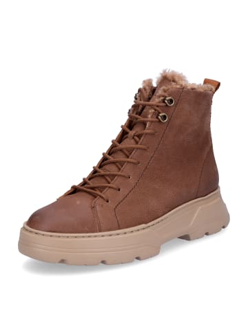 Paul Green Schnürboot in Braun