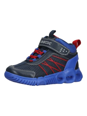 Geox Sneaker in Navy/Rot