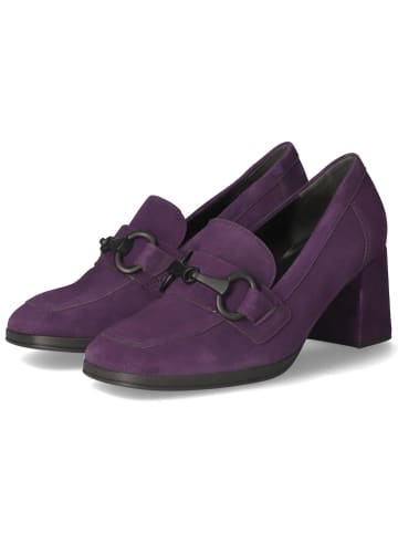 Gabor Pumps in Violett