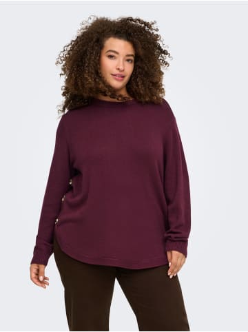 ONLY Carmakoma Strickpullover in Fig 1