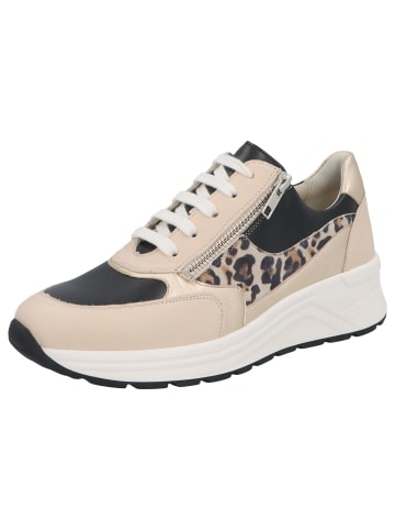 Solidus Damen- Schnürschuhe Holly - Weite H in Beige