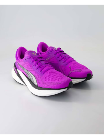Puma Sneaker low in Lila
