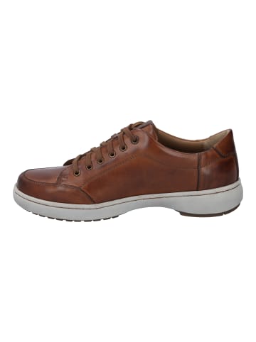 Josef Seibel Sneaker David 03 in cognac-kombi