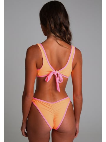 Moda Minx Bikinihose in Tangerine