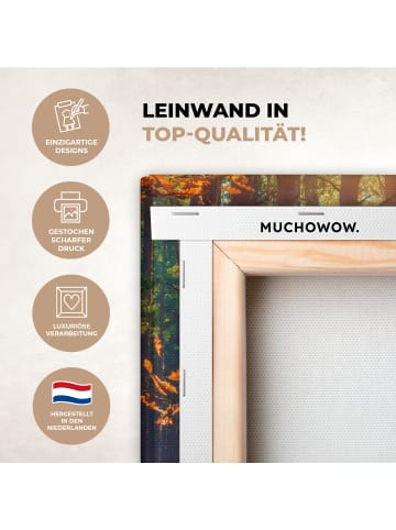 MuchoWow Leinwand bilder Waldpfad (BxH)