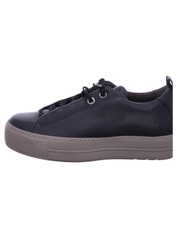 Paul Green Sneaker Low in schwarz