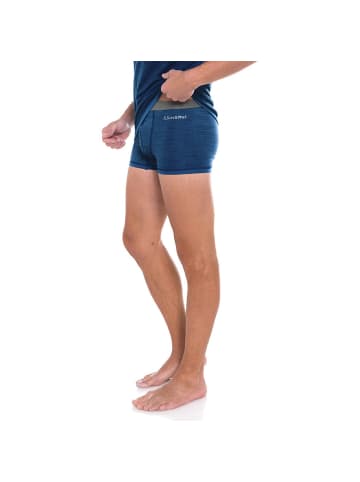 Chillaz WWORKING 2.0 PANT in Blau