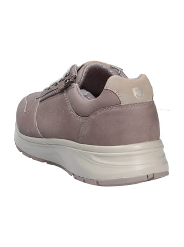 Joya Schnürschuh DYNAMO ZIP M GREY II in grau