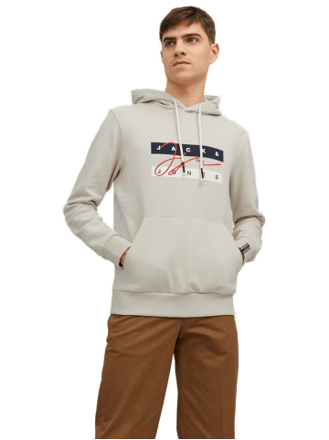 Jack & Jones Sweatshirt JORJOSH in Beige