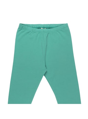 Walkiddy Leggings Green Spruce - Leggings