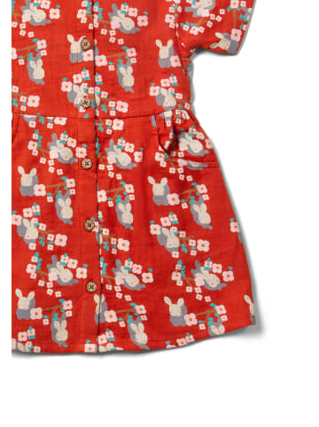 Little Green Radicals Kurzärmeliges Kleid mit Knopfleiste in Rot