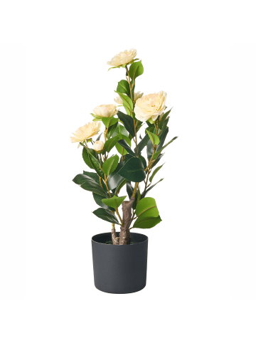 Beliani Kunstpflanze CAMELLIA in Grün/Schwarz/Beige - (W) 30 x (H) 60 x (L) 30 cm