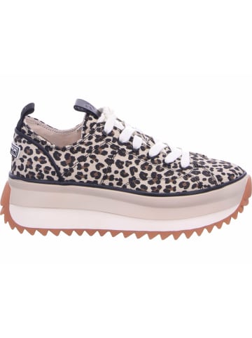 Tamaris Schnürhalbschuh in braun