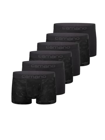 camano Pants 6er Pack comfort in Schwarz mix