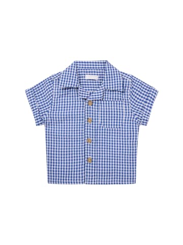 Noppies T-Shirt Osnabruck in Check pattern Medium blue