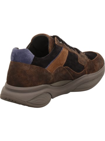 Xsensible Schnürschuhe in braun