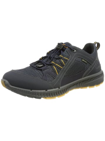Ecco Trekkingschuhe für Herren in anthrazit