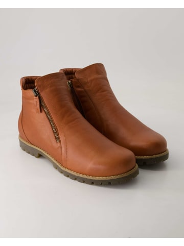 Andrea Conti SHOES Klassische Stiefeletten in Braun