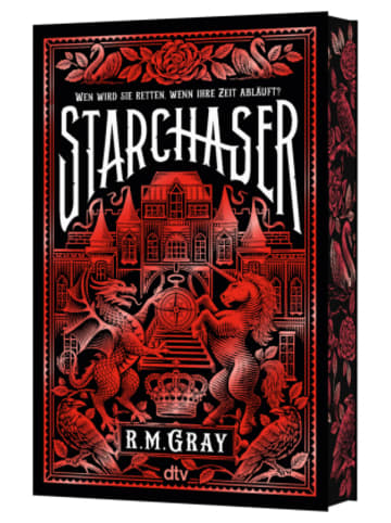 dtv Buch - Starchaser