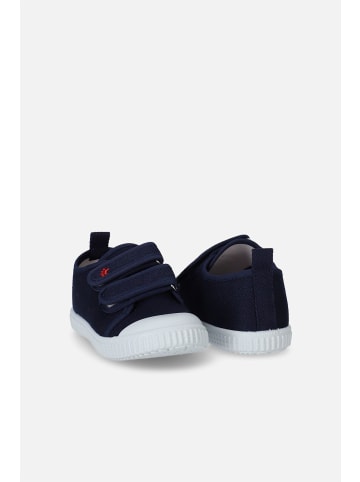 Coccodrillo Trainer in blau