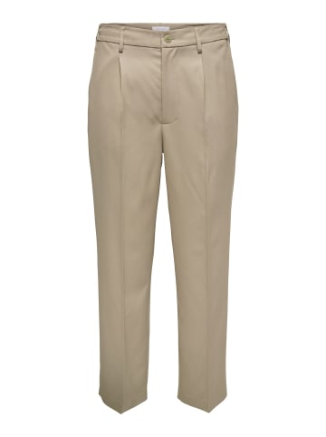 Chino Hose in Chinchilla 1