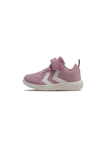 Hummel Hummel Klettverschluss Shoe Actus Ml Kinder in KEEPSAKE LILAC