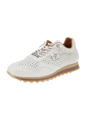 Cetti Sneaker low C-848 EXP V24 in Weiß