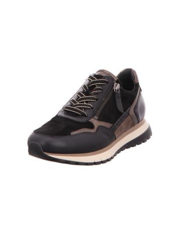 Gabor Sneaker in schwarz