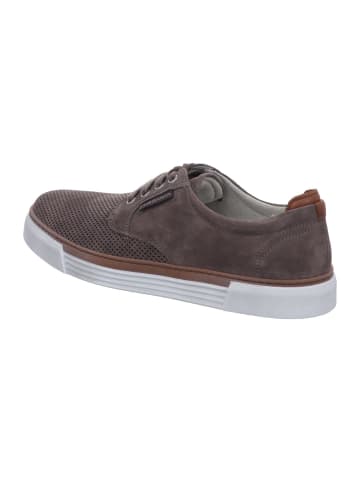 Pius Gabor Sneaker Low in braun