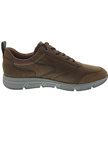 WALDLÄUFER Haslo sportlicher Schnürer Braun