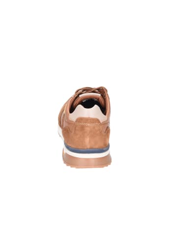 Camel Sneaker Active in tan/weiss