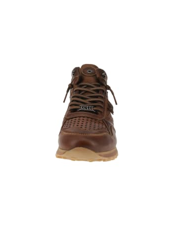 Cetti Sneaker high C-1048 in Braun