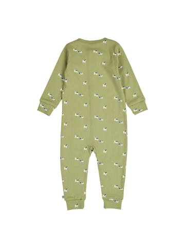 müsli Strampler 1584069800 in gruen