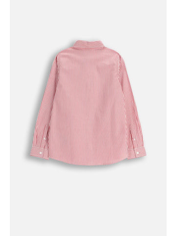 Coccodrillo Gestreiftes Langarmhemd in bunt