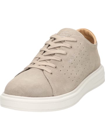 Gant Sneaker Fairville in Braun