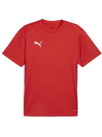 Puma T-Shirt "TeamGoal Jersey" in Rot