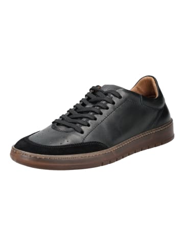 Pavement Sneaker in Schwarz