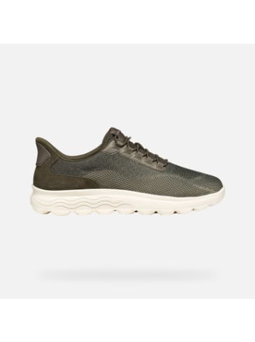 Geox Sneackers U in Military/Sage