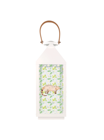Mr. & Mrs. Panda Windlicht Nasenbaer ohne Spruch in Transparent