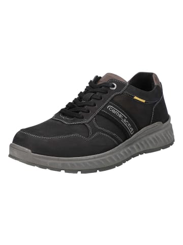 Camel Lowtop-Sneaker in schwarz/grau