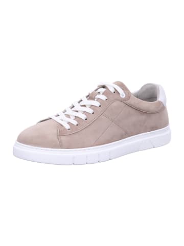 Pius Gabor Sneaker in beige