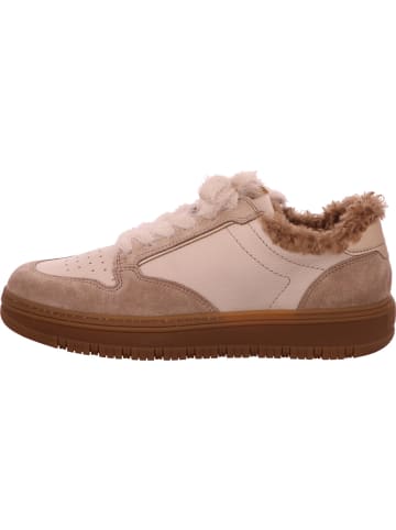 Paul Green Klassischer Schnürschuh in beige